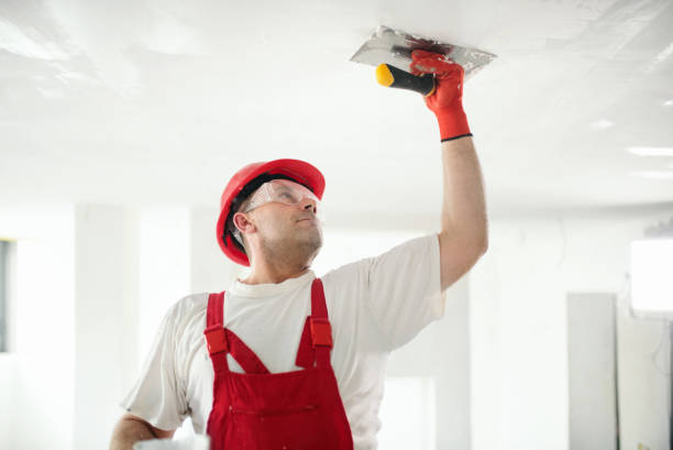 Best Residential Painting  in Berwick, PA